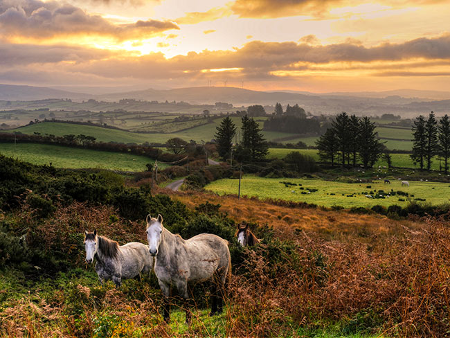 Ireland