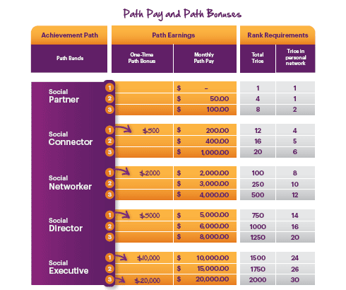 Solavei payment structure